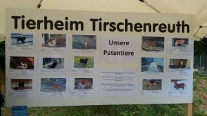 Tierheimfest Tirschenreuth 02.07.2017